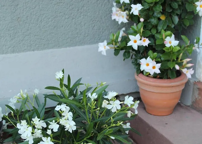 Mit Herz Appartement